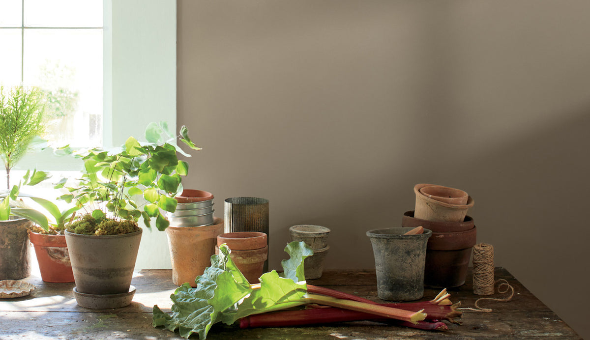 Benjamin Moore Color Families Mark's Paint Mart